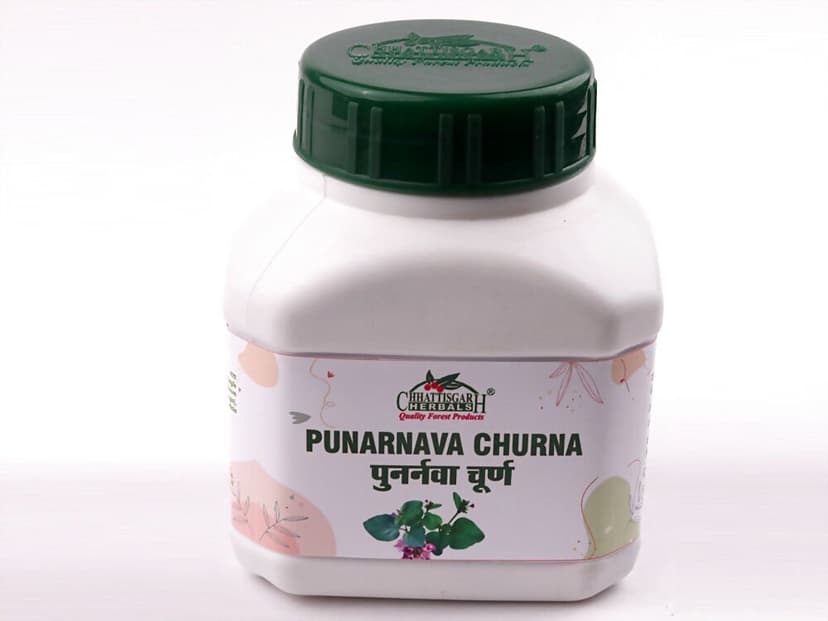 Chhattisgarh Herbal Punarnava Churna