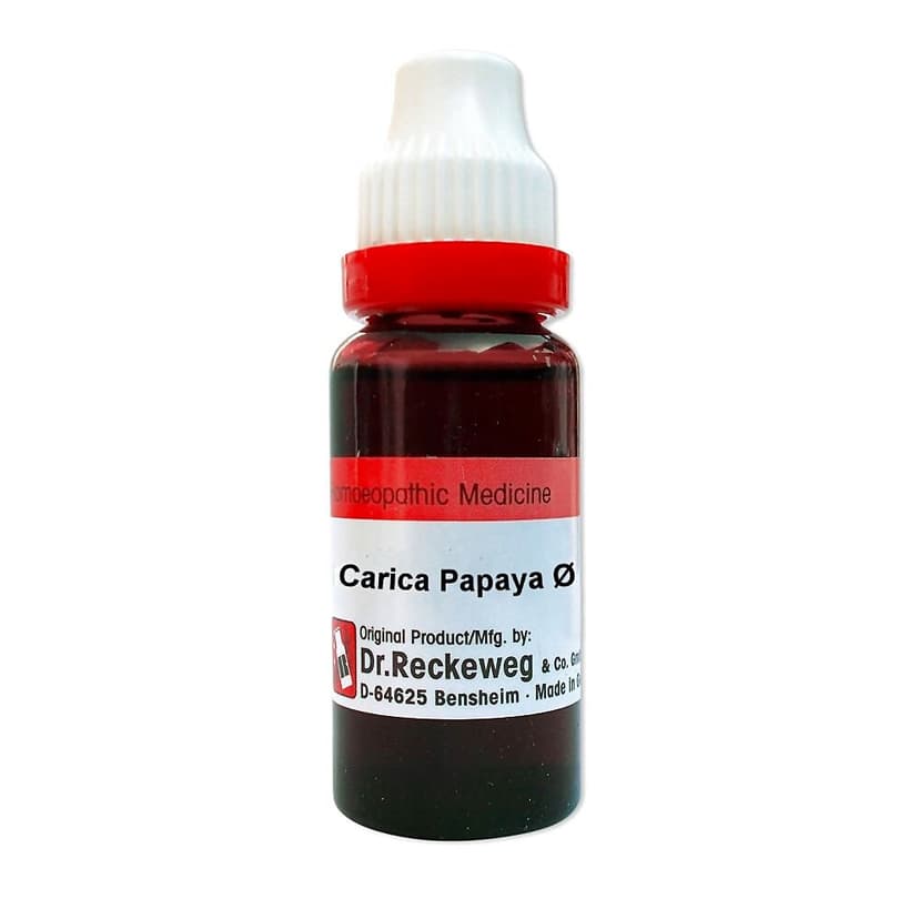 Dr. Reckeweg Homeopathy Carica Papaya Q