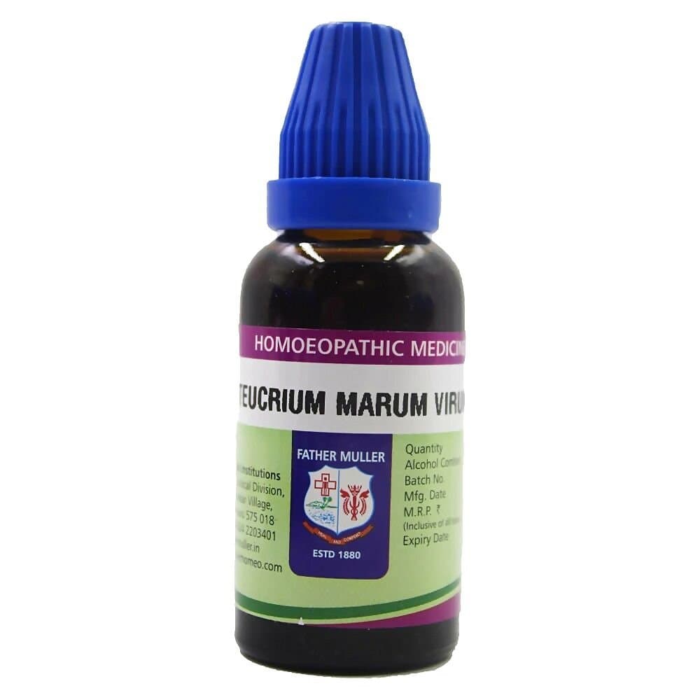 Father Muller Teucrium Marum Virum Q