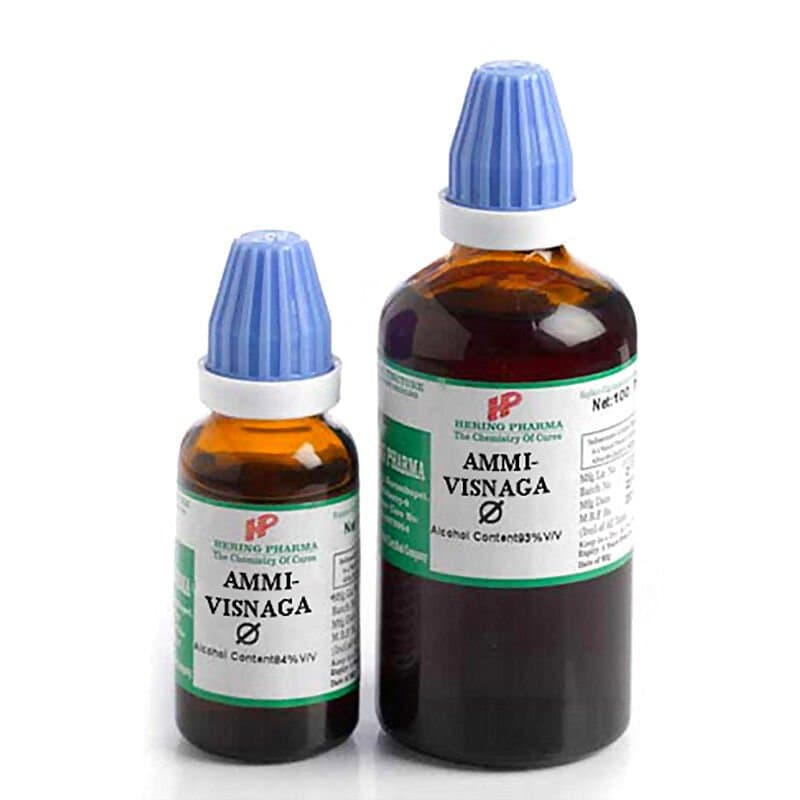 Hering Ammi-Visnaga Q