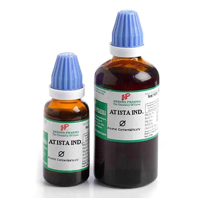 Hering Atista Indica Q