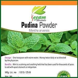 Jeyam Herbals Pudina Powder