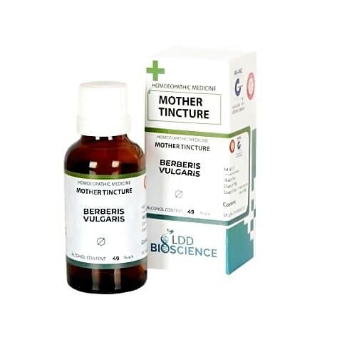 Ldd Bioscience Berberis Vulgaris 1X Q