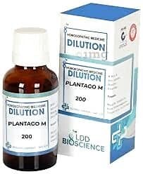 Ldd Bioscience Plantago M