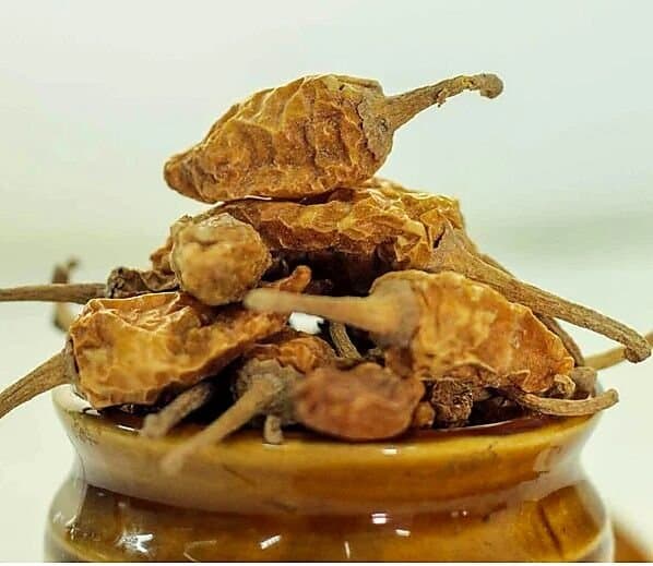 Mor Milagai (Buttermilk Chillies Vathal)