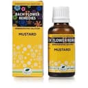 recent-product
