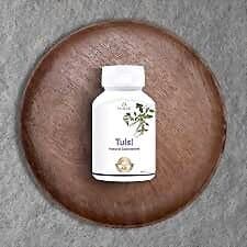 Pravek Tulsi
