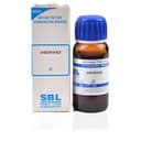 recent-product