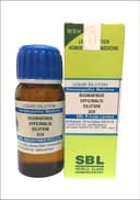 recent-product