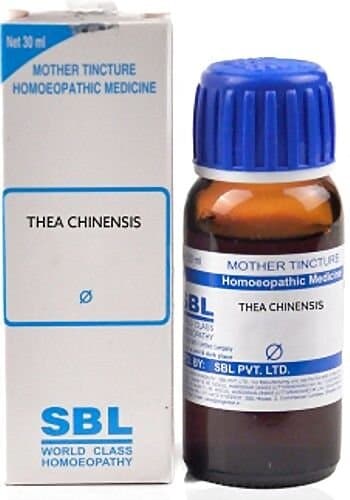 Sbl Thea Chinensis Mother Tincture Q