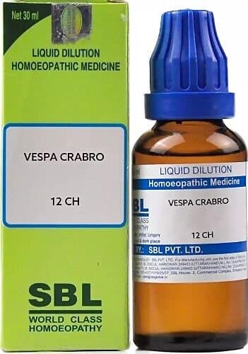 Sbl Vespa Crabro Dilution 12 Ch