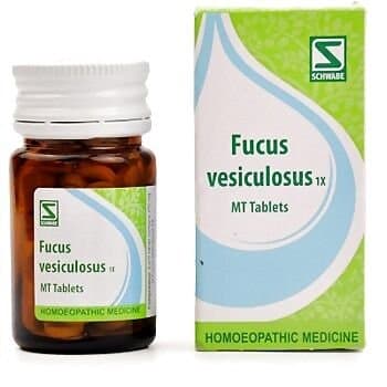 Schwabe Homeopathy Fucus Vesiculosus-1X