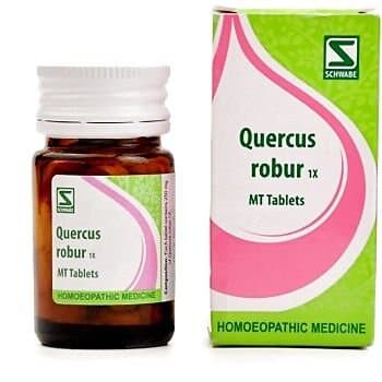 Schwabe Homeopathy Quercus Robur-1X