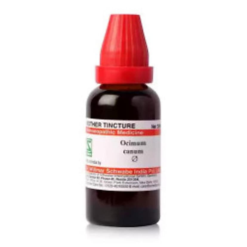 Schwabe Ocimum Canum Mother Tincture Q