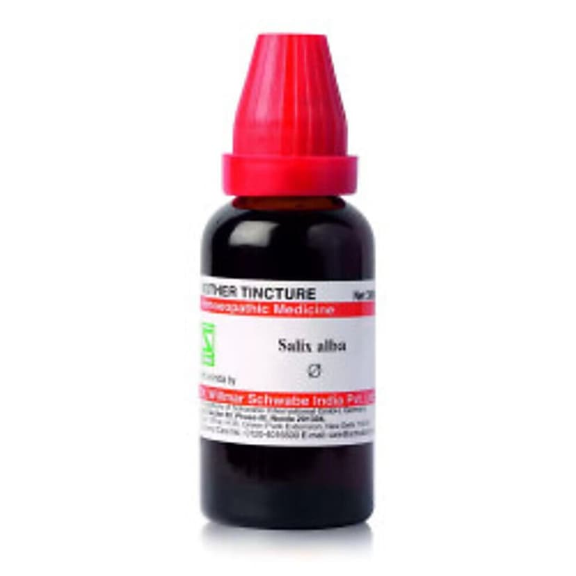 Schwabe Salix Alba Mother Tincture Q