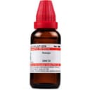 recent-product