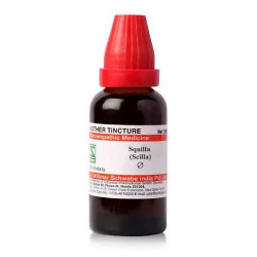 Schwabe Squilla (Scilla) Mother Tincture Q
