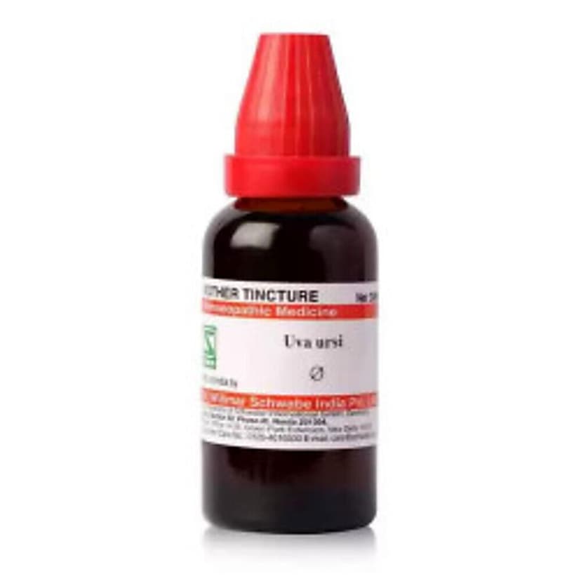 Schwabe Uva Ursi Mother Tincture Q