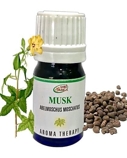 Shri Ganga Musk Essential oil