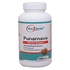 Way2Herbal Punarnava Capsules
