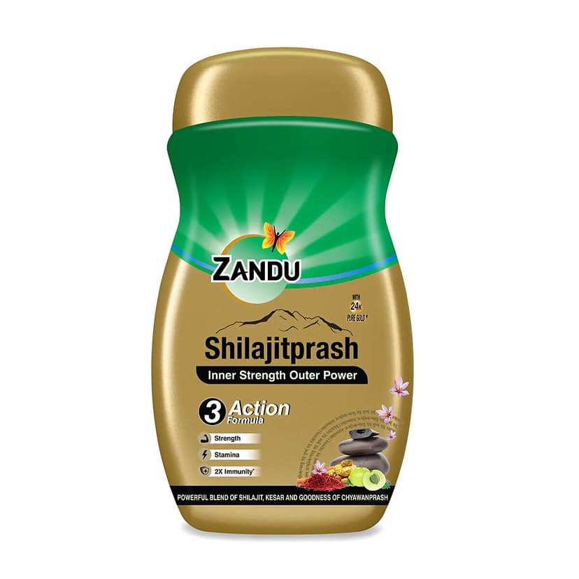 Zandu Shilajitprash Chyawanprash
