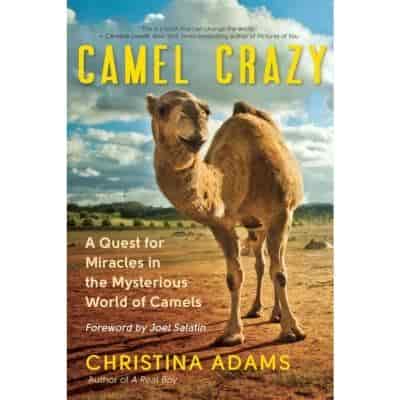 Buy Aadvik Camel Crazy A Quest For Miracles In The Mysterious World Of Camels