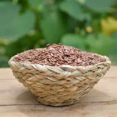 Buy Aalam Vithai / Banyan Tree Seed Powder