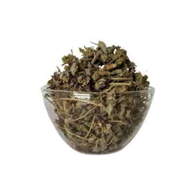 Buy Amman Pacharisi / Snake Weed (Raw)