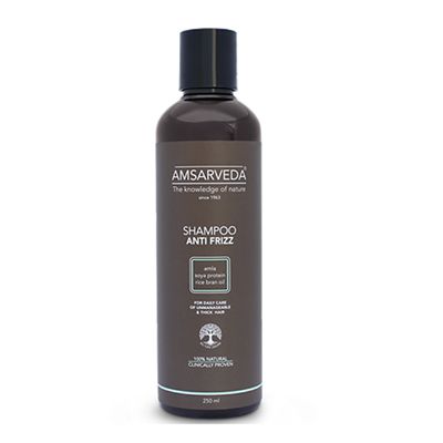 Buy Amsarveda Anti Frizz Shampoo