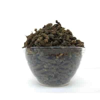 Buy Arisi Thippili/ Indian Long Pepper Dried (Raw)