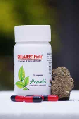 Buy Ayushherbs Shilajeet Forte General Health Tonic