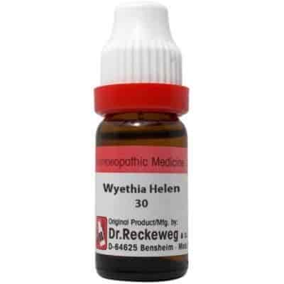 Buy Dr. Reckeweg Wyethia Helenoides - 11 ml