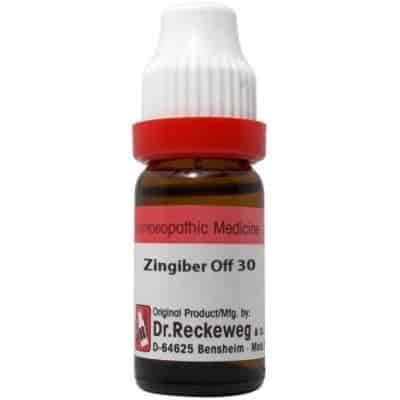 Buy Dr. Reckeweg Zingiber Officinale - 11 ml