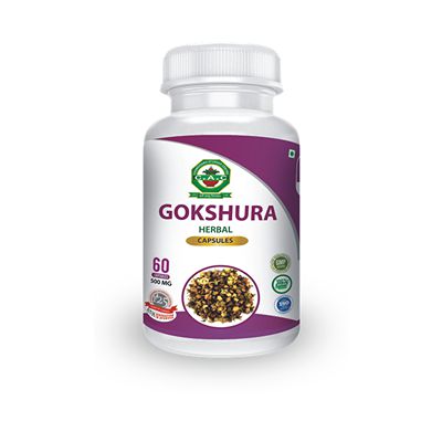 Buy Chandigarh Ayurved Centre Gokshura Capsules