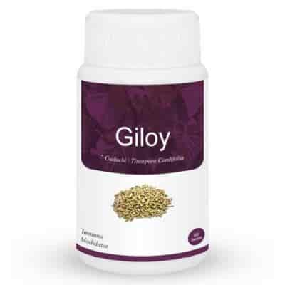 Buy Herb Essential Giloy (Tinospora cordifolia) Tablets