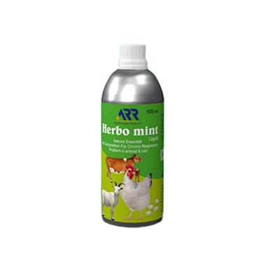 Buy Al Rahim Remedies Herbo Mint