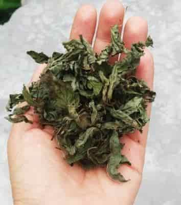 Buy Himalayan Haat Dried Himalayan Peppermint