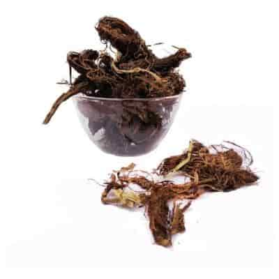 Buy Jadamanji /Sadamanji/ Spikenard Dried Root (Raw)