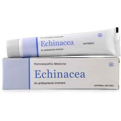 Buy Lords Homeo Echinacea Ointment