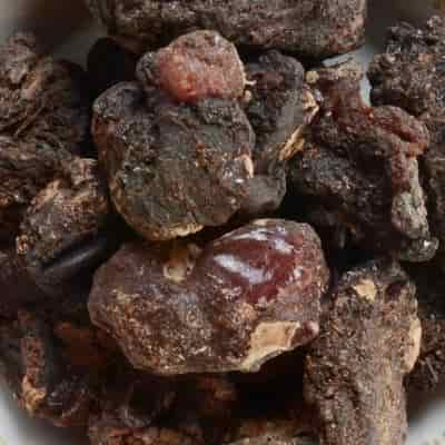 Buy Murungai Pisin / Drumstick Tree Resin (Raw)