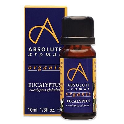 Buy Absolute Aromas Organic Eucalyptus Globulus Oil