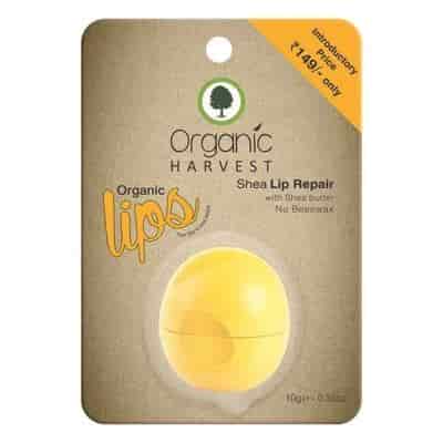 Buy Organic Harvest Shea Lip Balm