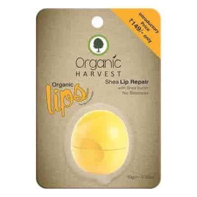 Buy Organic Harvest Shea Lip Balm