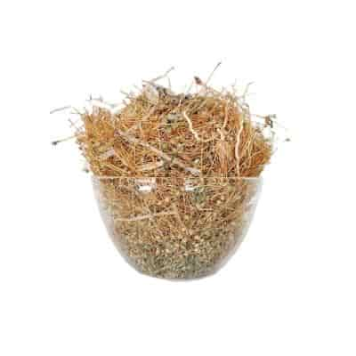 Buy Parpadaga Pul / Carpetweed Dried (Raw)