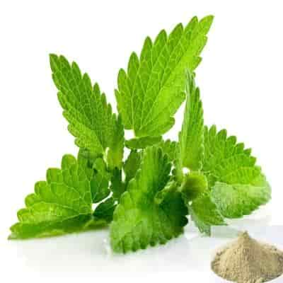 Buy Pudina / Spearmint Powder