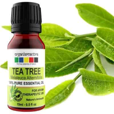 Buy Raw Essentials Tea Tree Essential Oil