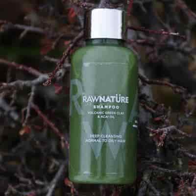 Buy Raw Nature Travel Green Clay Shampoo Organic Green Clay & Acai Oil