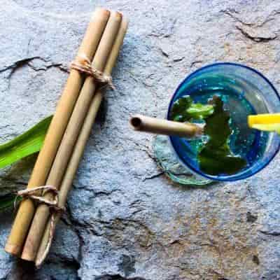 Buy Rejuve Bamboo Straw Pack of 5