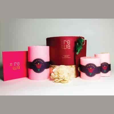 Buy Rewa Christmas Hibiscus Candles Set of 3