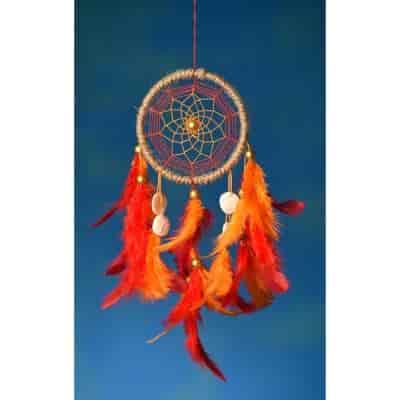 Buy Rooh Dream Catchers Tropical Handmade Hangings
